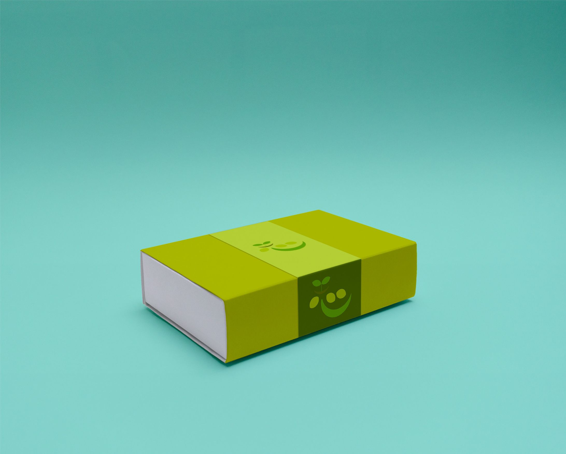 ロゴ　モックアップ（箱）-1