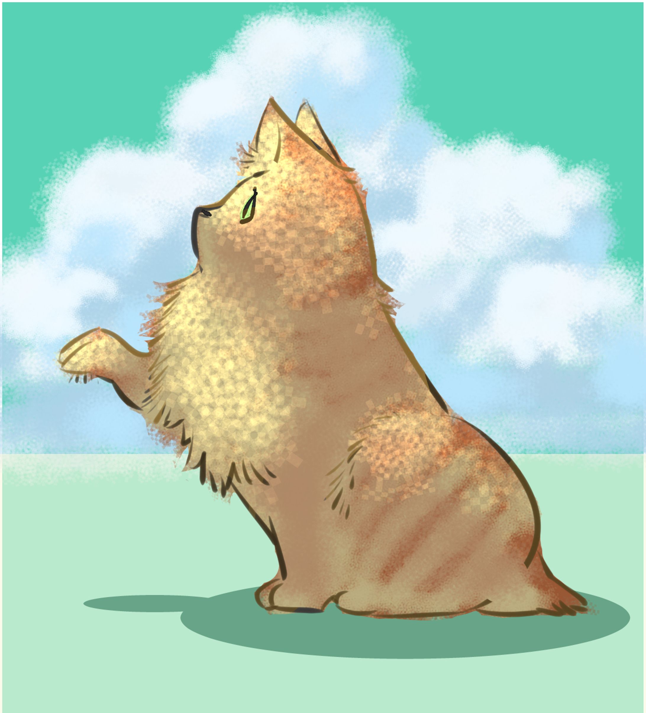 my cat-1