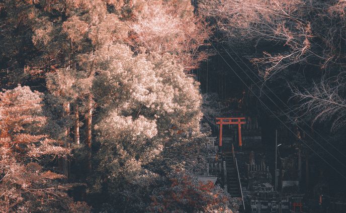 フォトグラファー、委託