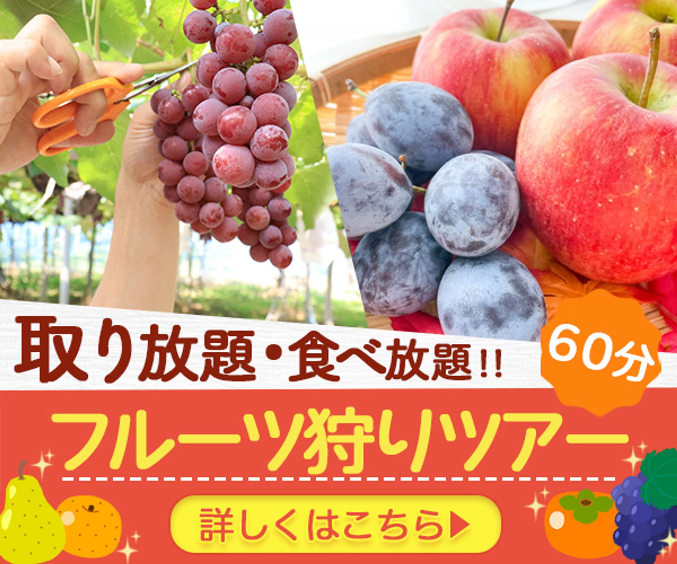 フルーツ狩りバナー-1
