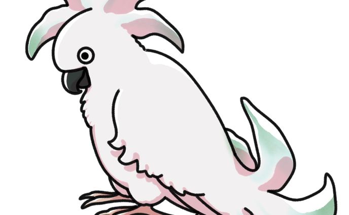 動物×植物のお題
