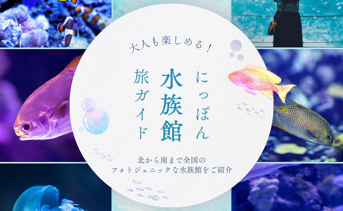 水族館　観光　Instagram投稿　バナー