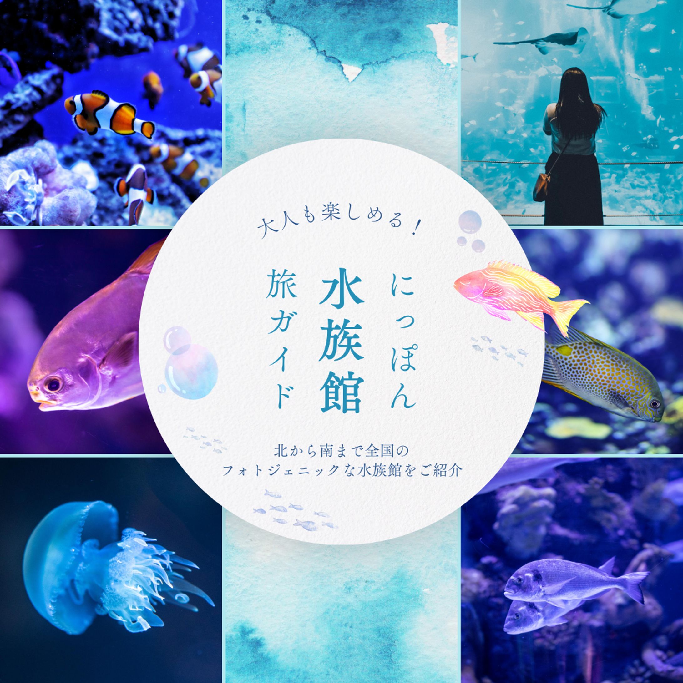 水族館　観光　Instagram投稿　バナー-1