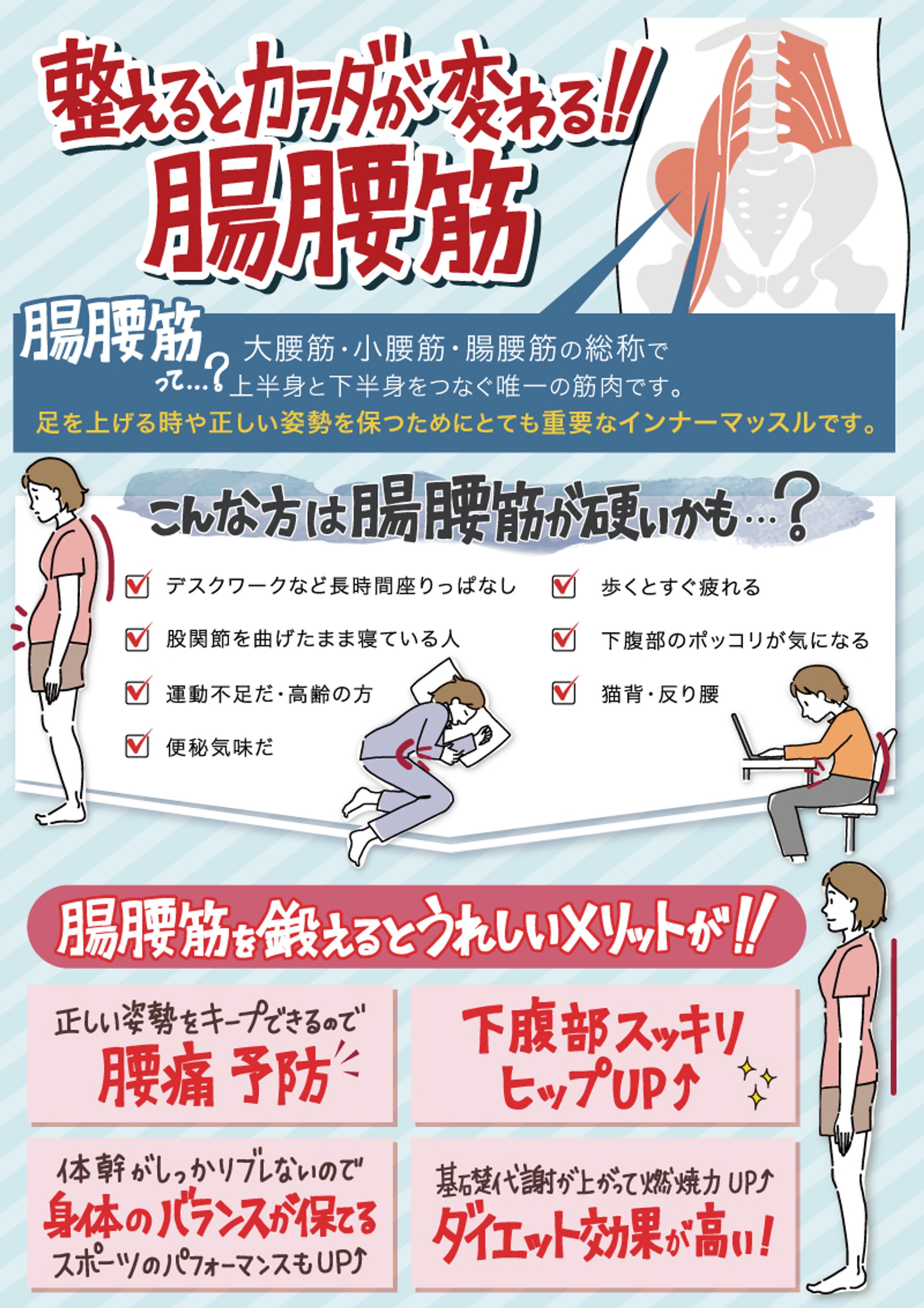 腸腰筋説明POP-1