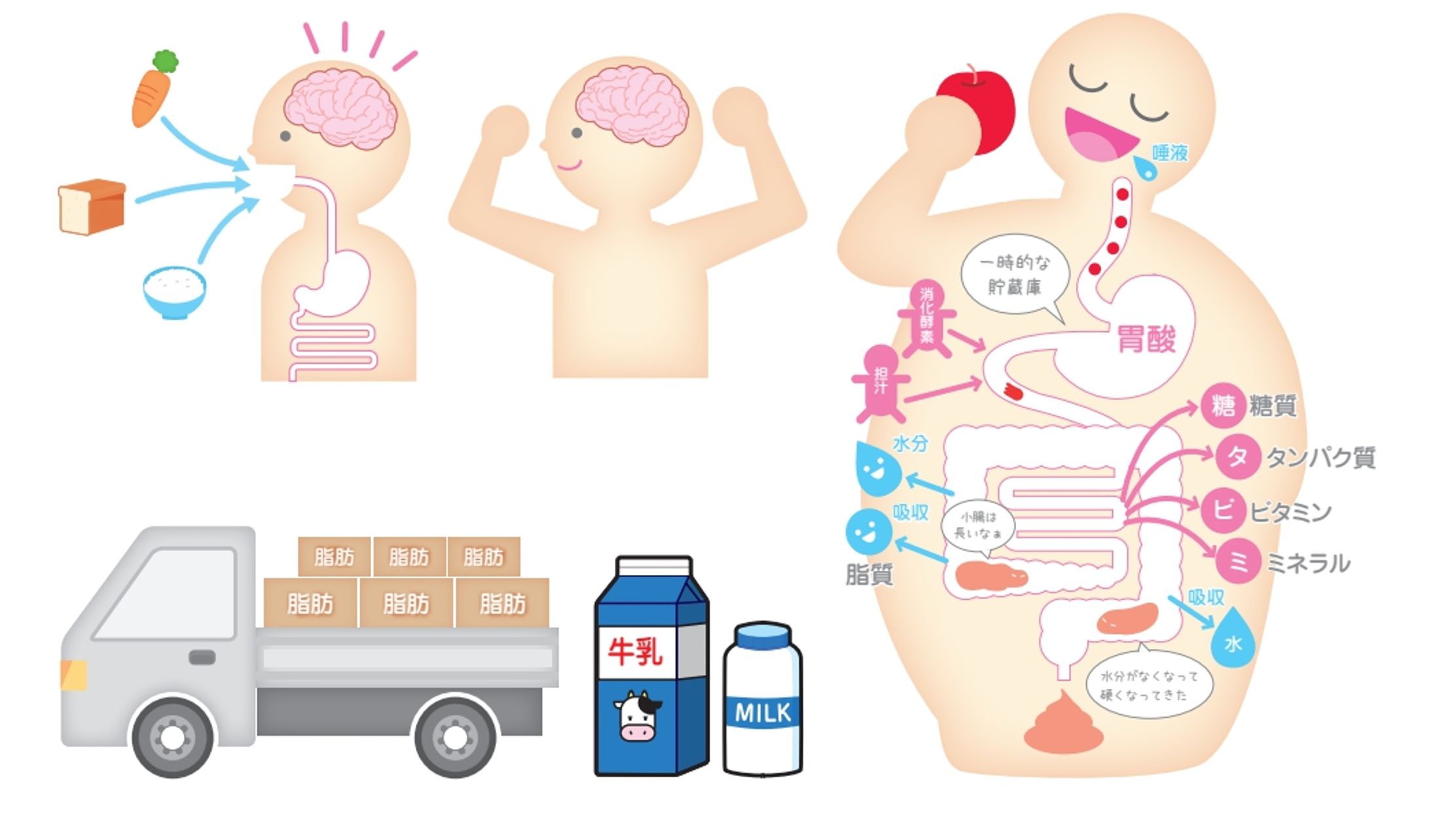 図解イラスト(幼児教育)-1