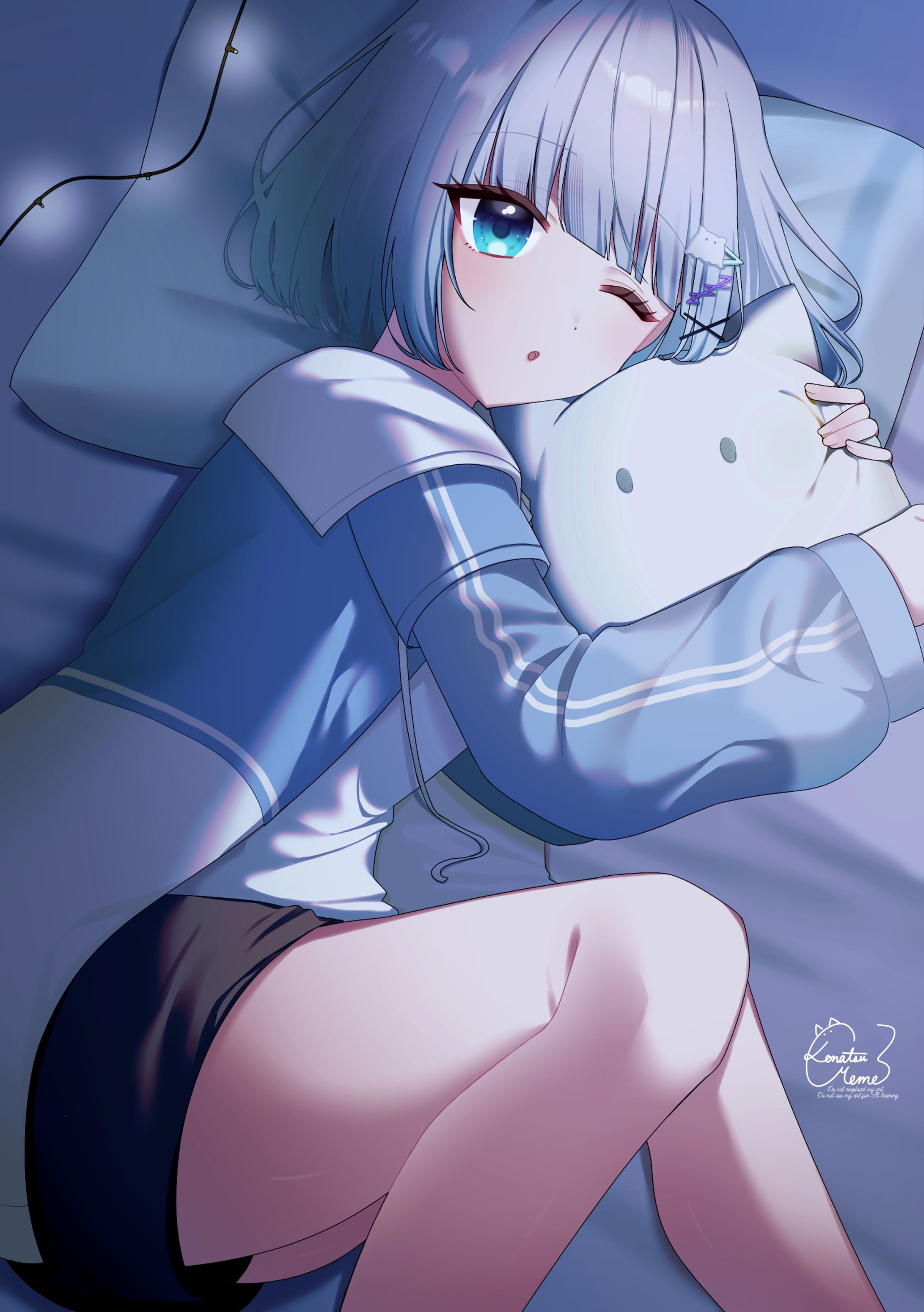 1枚絵-1