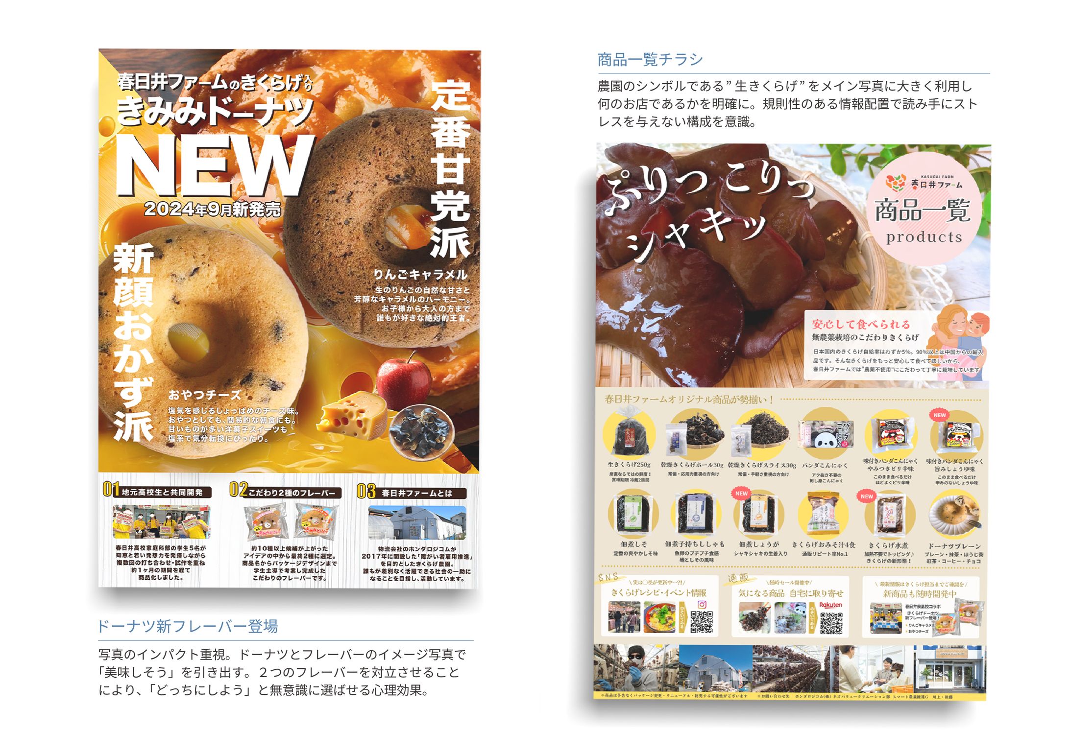 【チラシ・カタログ】-1