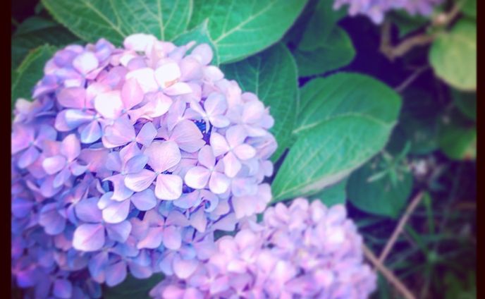 お絵描き、photography