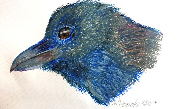 模写 カラス
