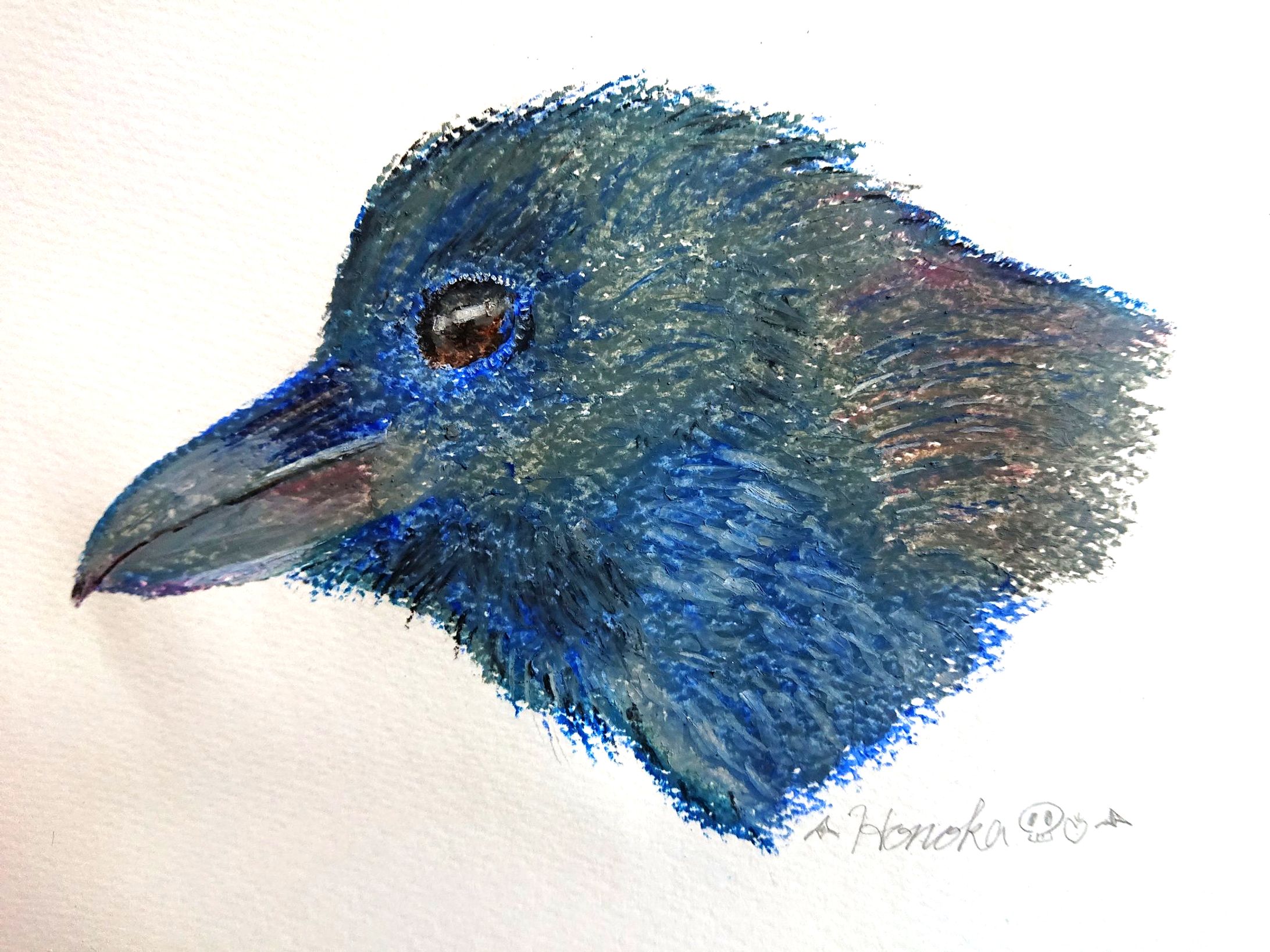 模写 カラス-1
