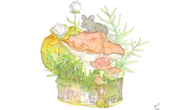 野山のタイムカプセル