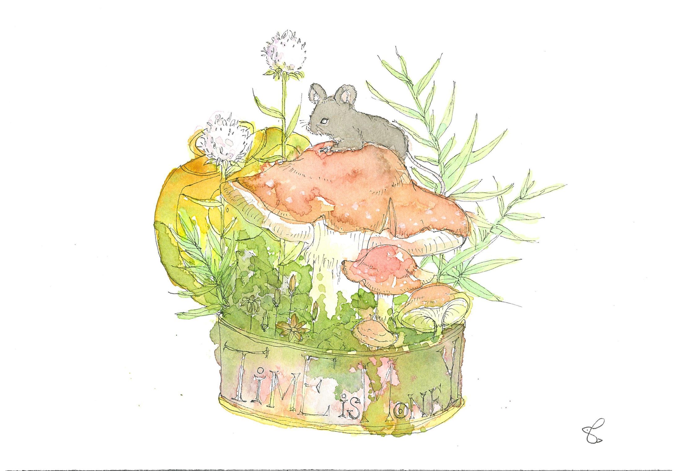 野山のタイムカプセル-1