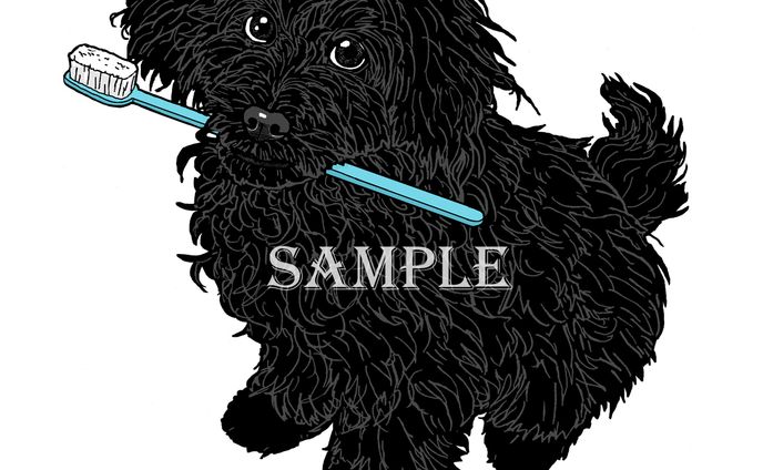 黒いワンちゃん 