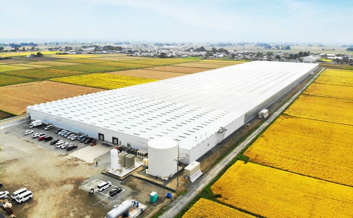 宮城県の田んぼに出現…巨大なプールのような建造物　実は環境にやさしい、最先端の「野菜工場」　太陽光とLED光を併用、水も循環