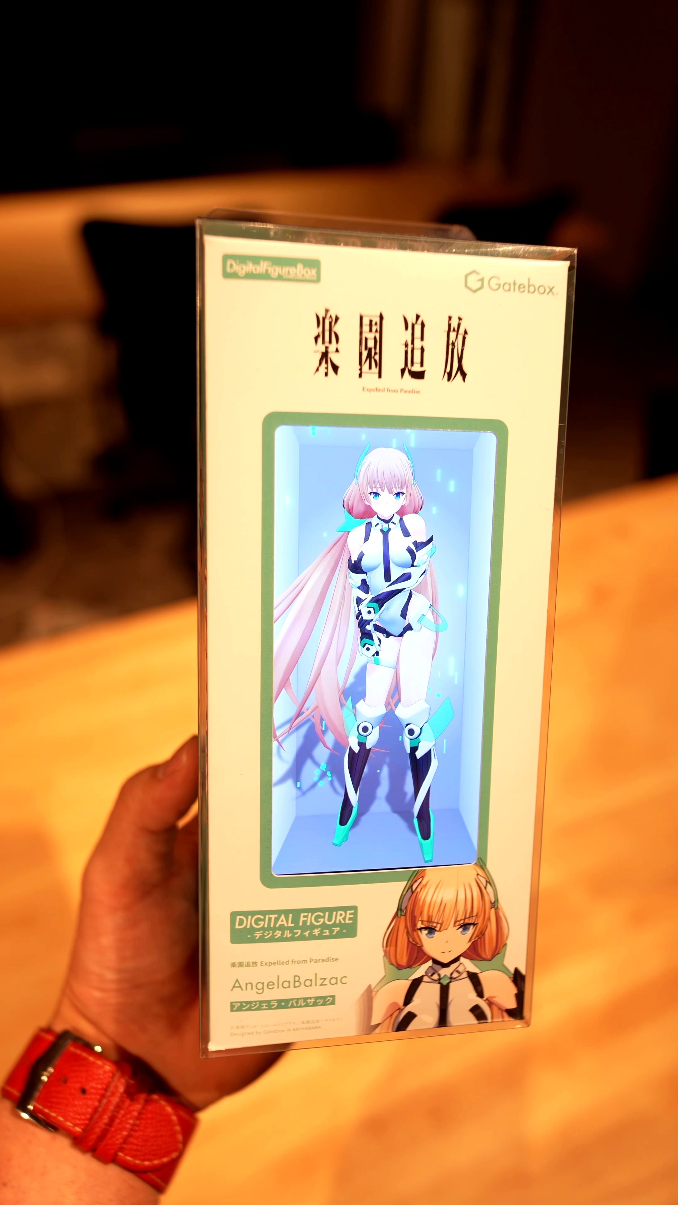 楽園追放ver デジタルフィギュアボックス 楽園追放ver デジタルフィギュアボックス