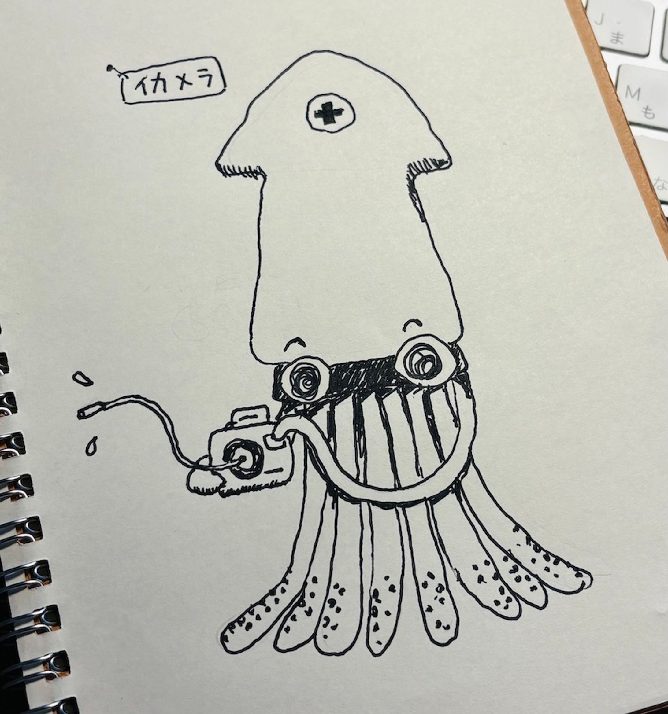 イカメラ-1