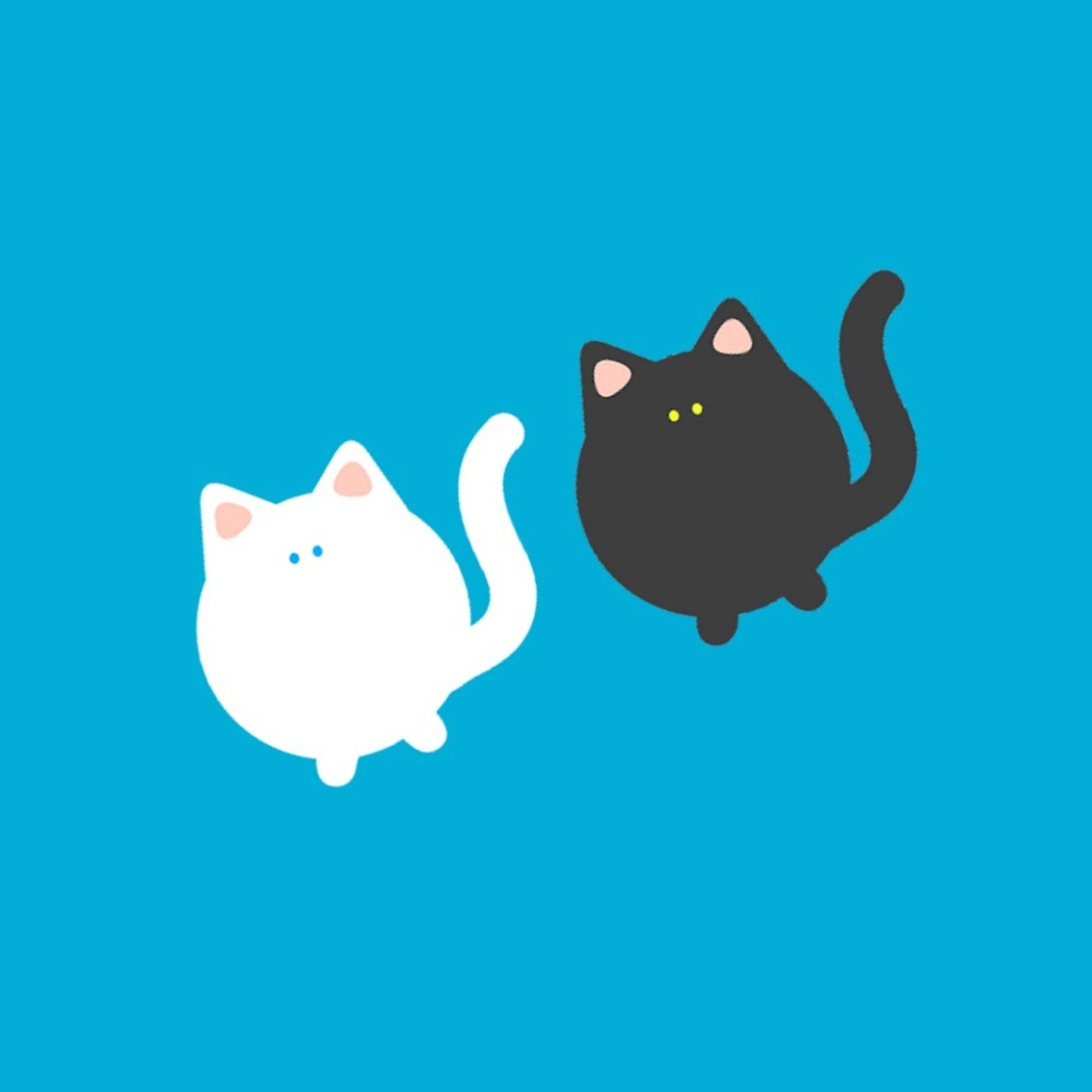 うちのねこちゃんたちをよろしくお願いします！

ねこちゃんのイラストを投稿しているよ！

＃かわいいのけしんネコちゃん　＃ねこすたぐらむ ＃ねこイラストレーター ＃ねこイラスト ＃ねこ-1
