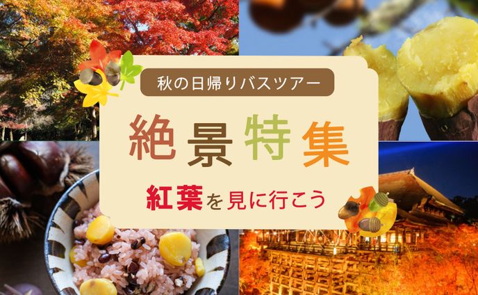 秋の日帰りバスツアー