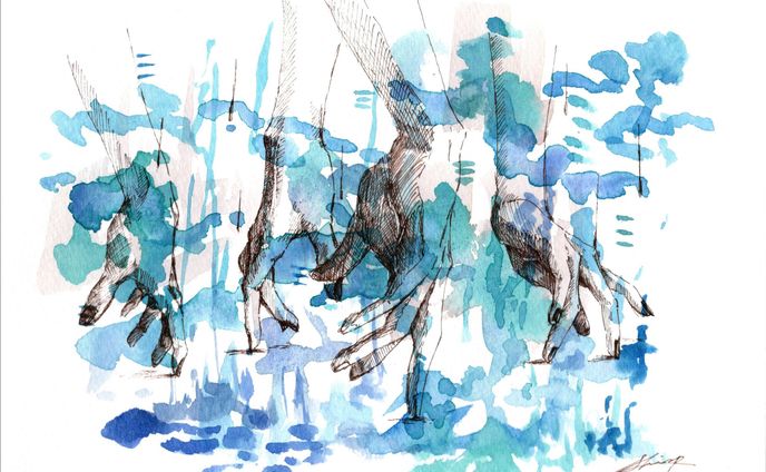 bluetraffic