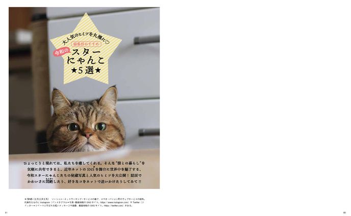音楽制作、猫