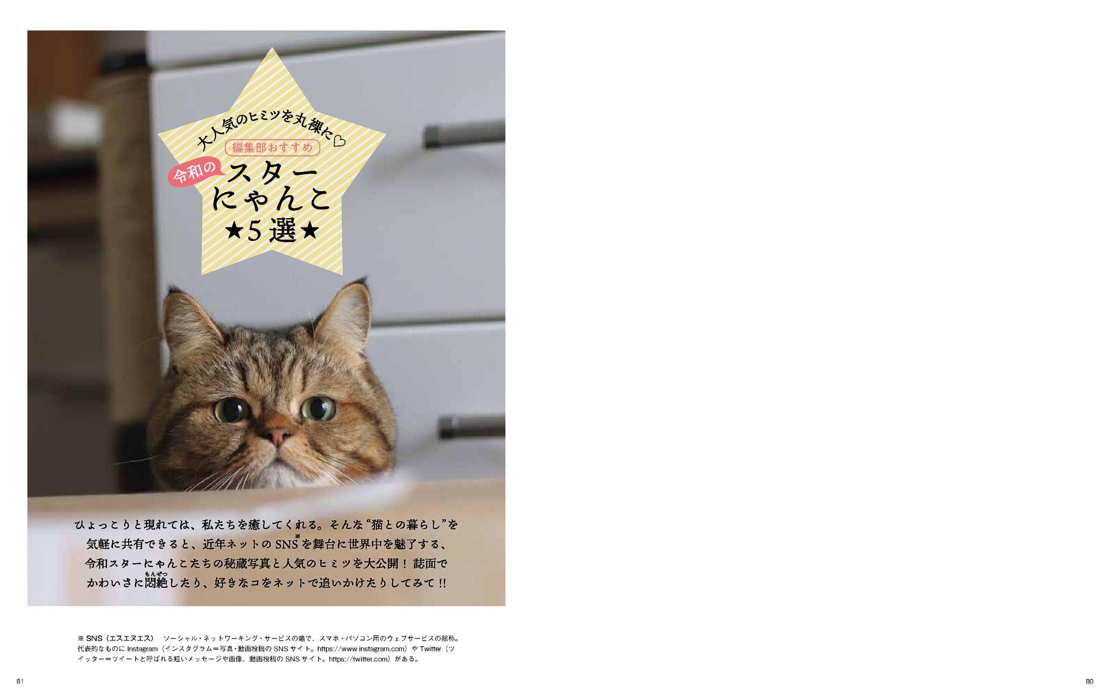 SNS猫　記事-1