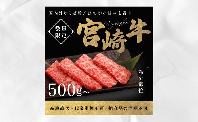 バナー、宮崎県西都市