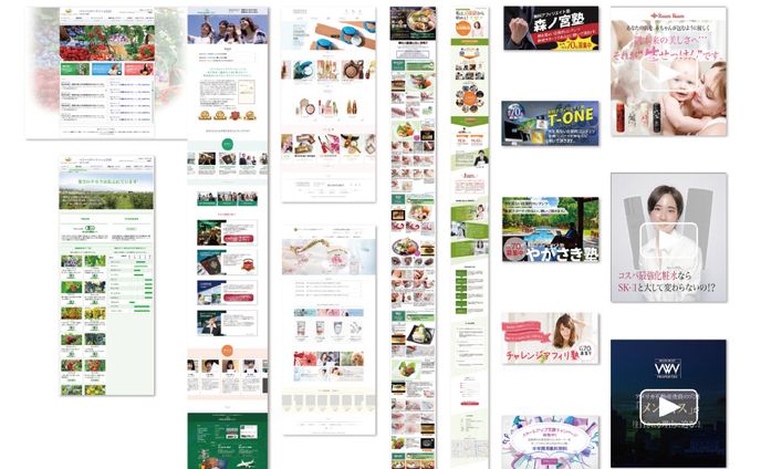 portfolio Web