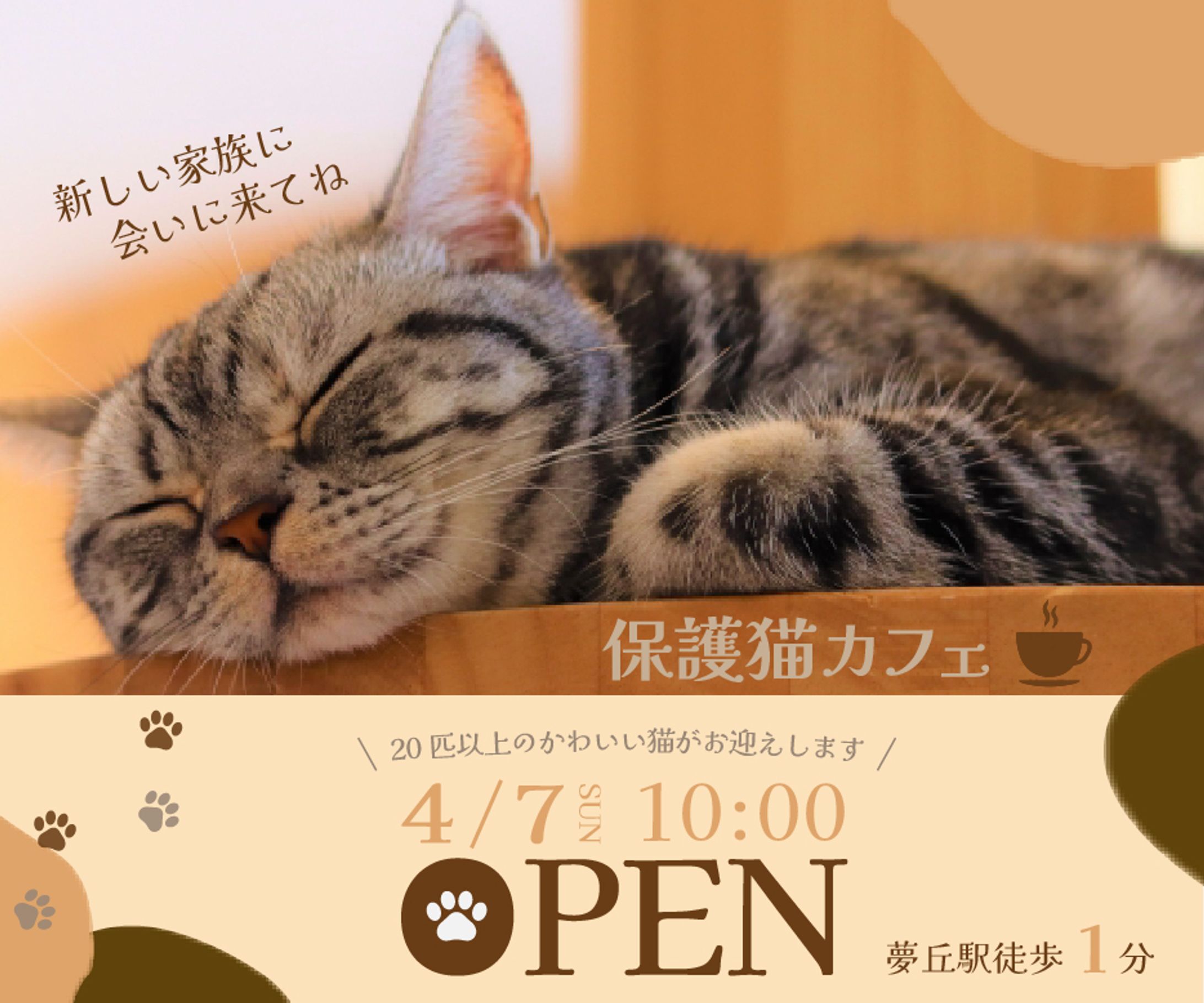 猫カフェのバナー-1
