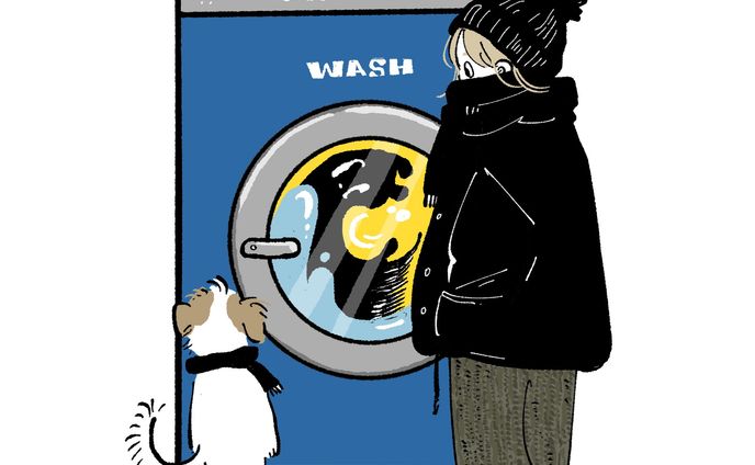 wash