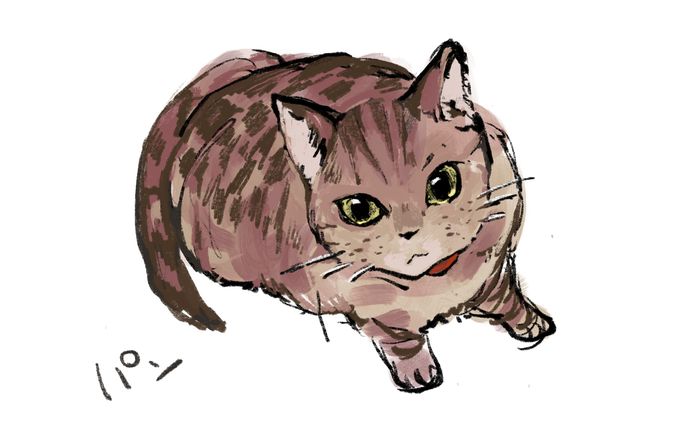 イラスト/猫、犬