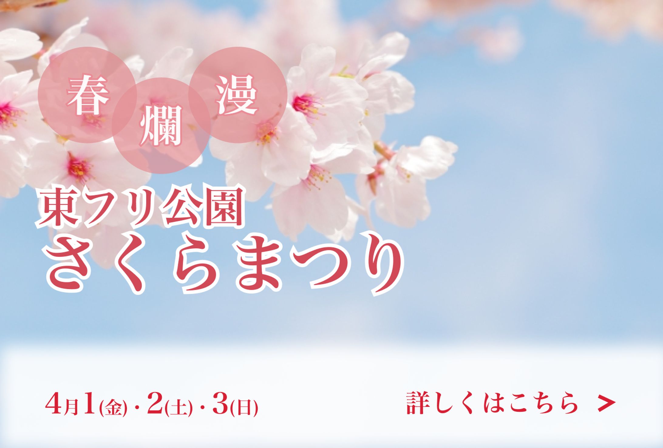 さくらまつりバナー-1