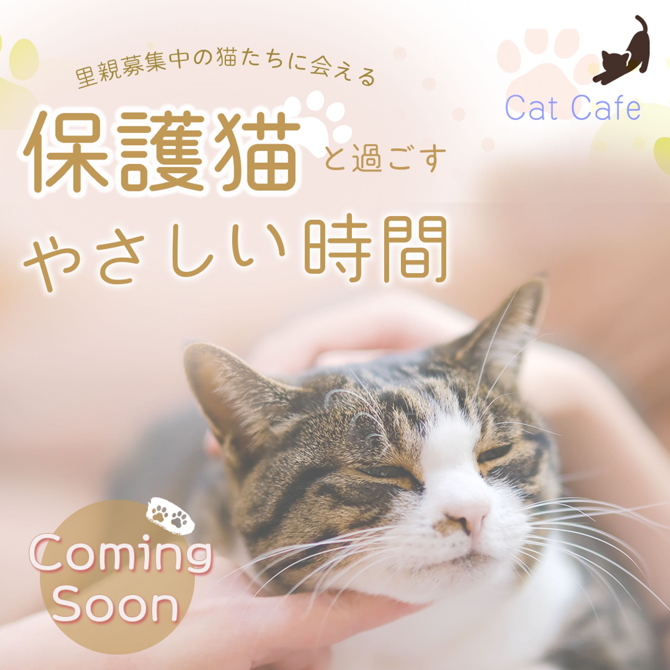 保護猫カフェバナー-1