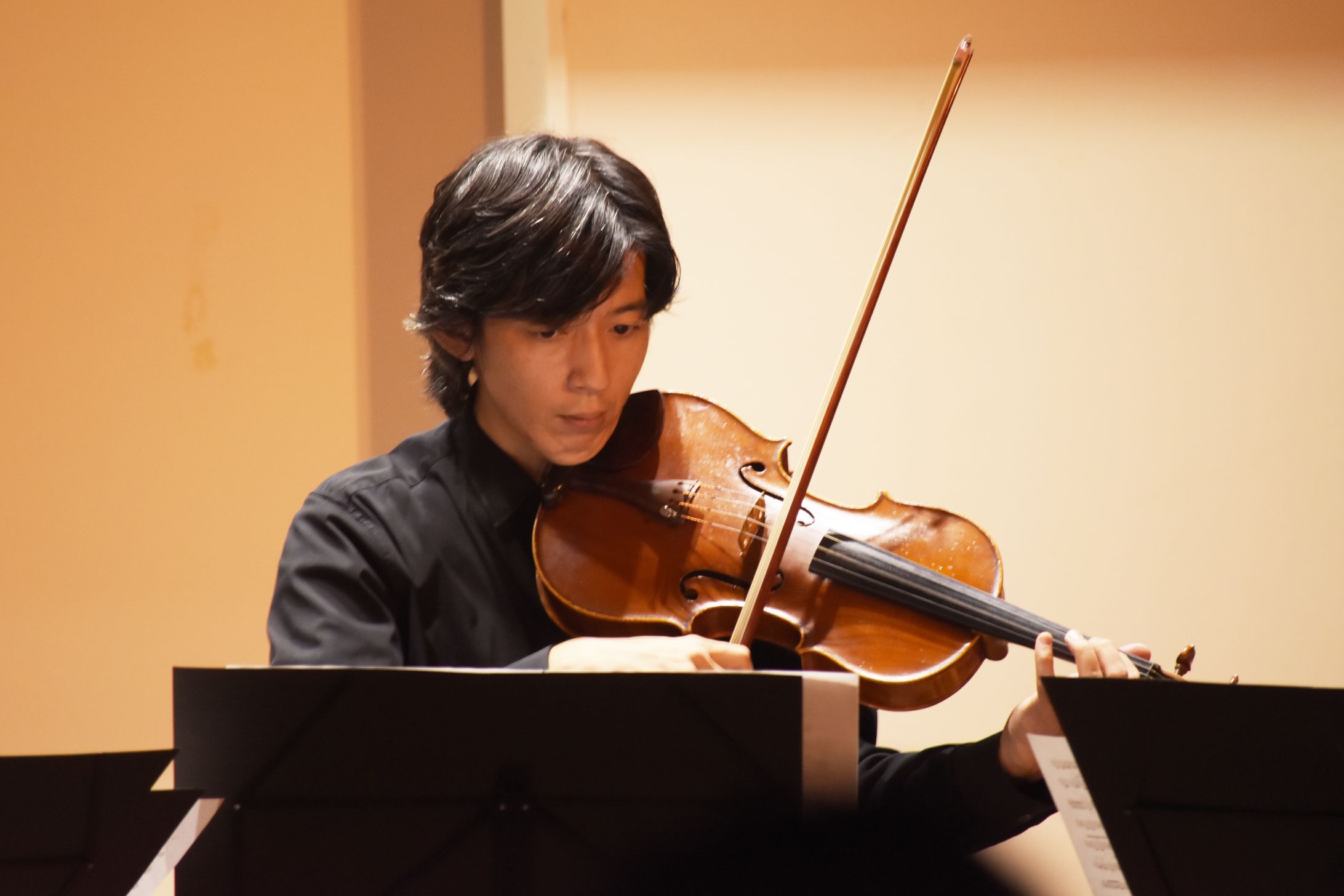 Viola_Emsamble_Photo-1