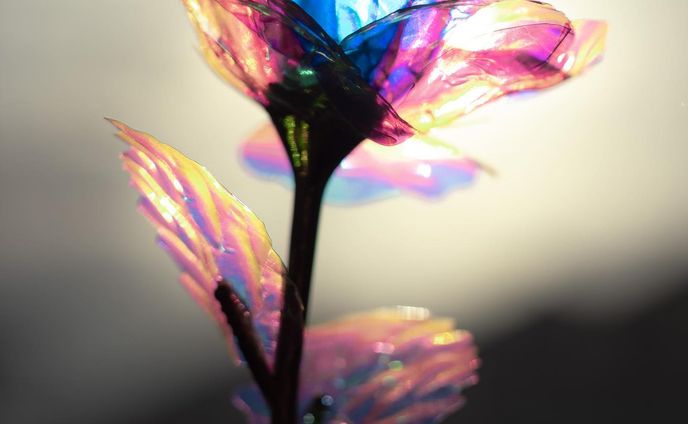 虹の造花