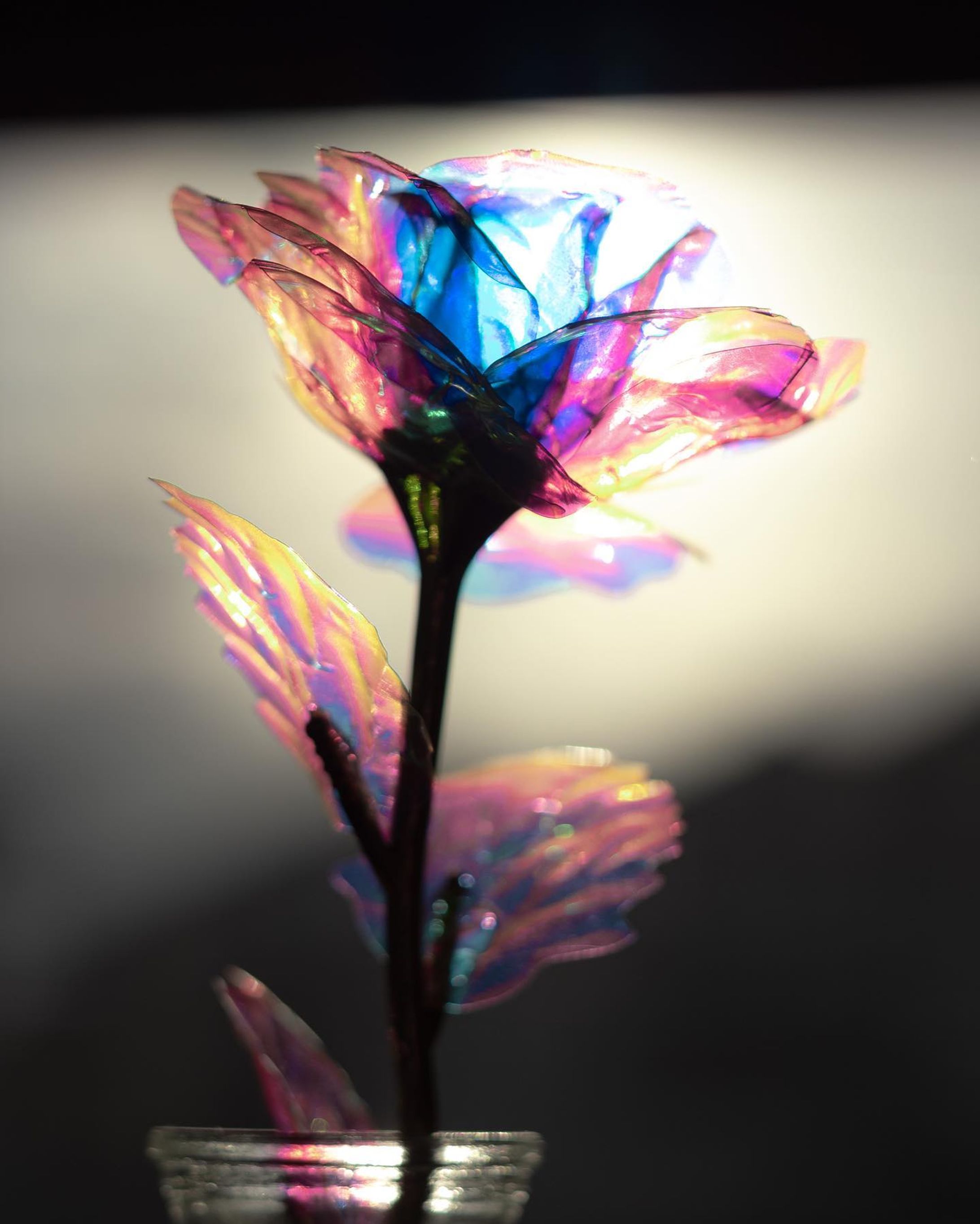 虹の造花-1