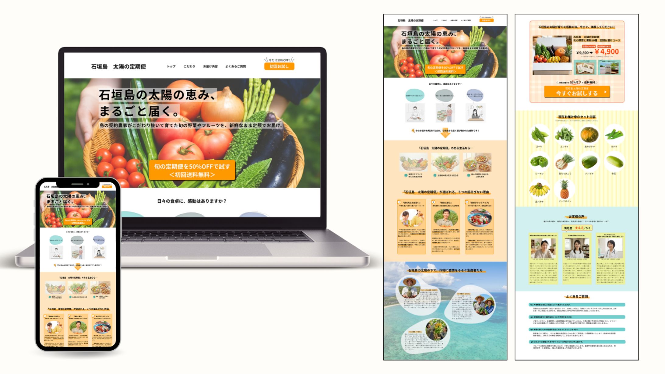 LP│野菜の定期宅配便サービス-1