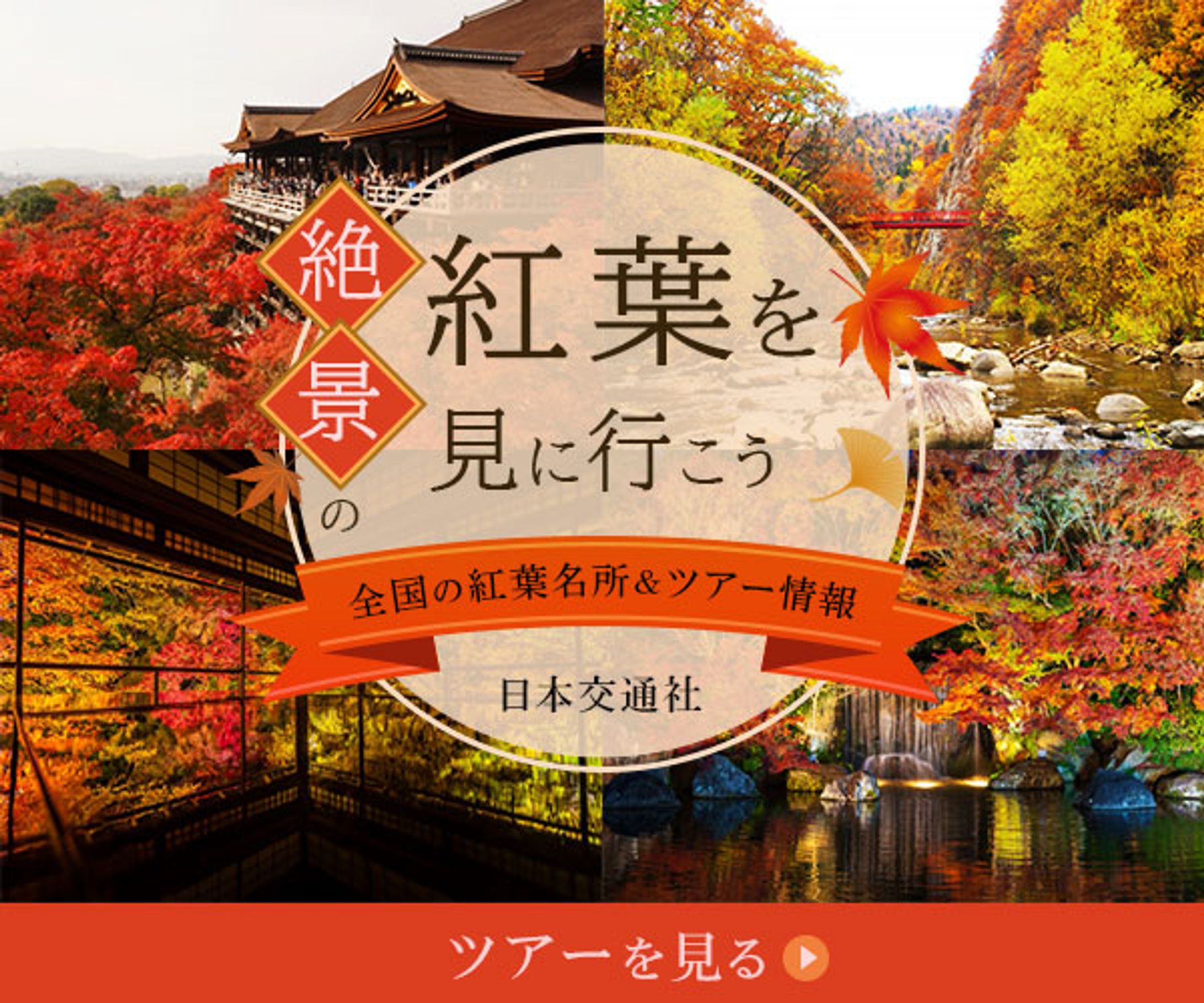 バナー：紅葉-1