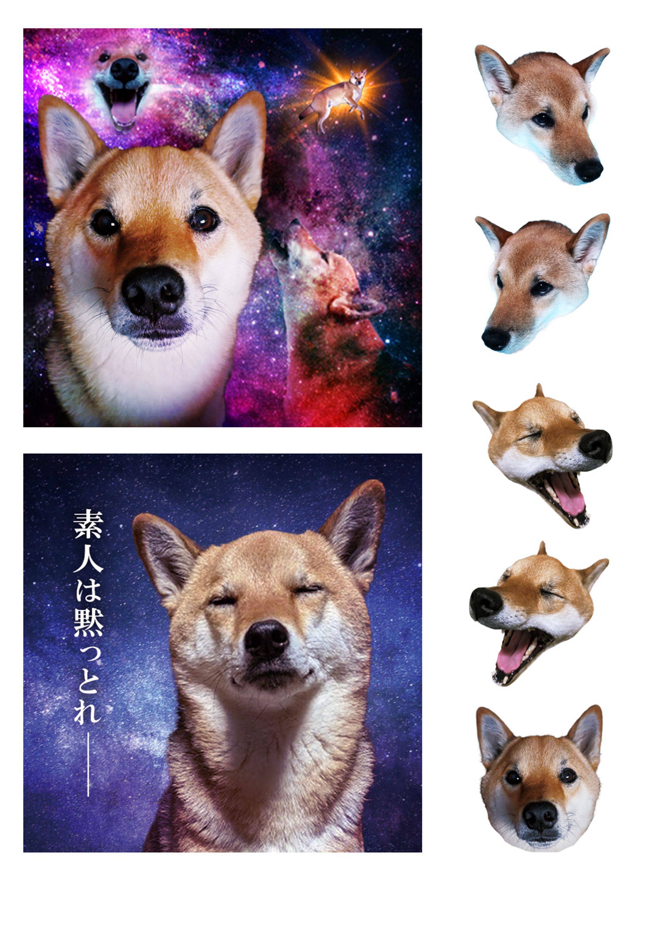 犬コラージュ-1