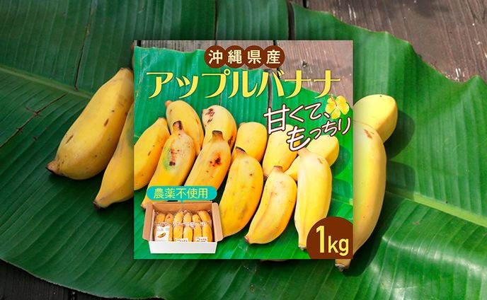 【EC商品バナー】沖縄産アップルバナナ