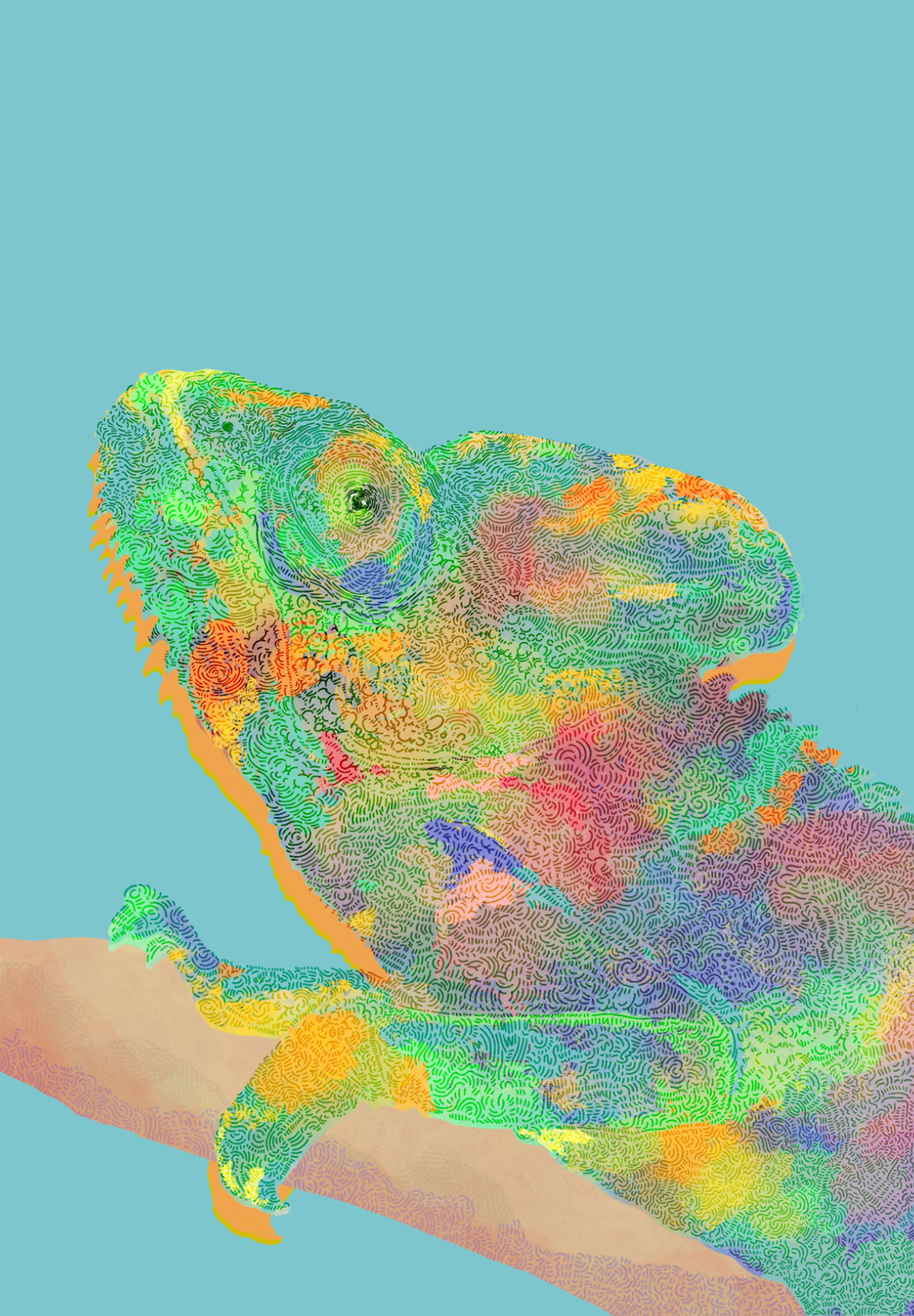 chameleon-1