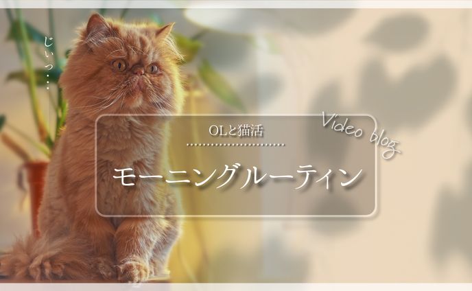 オリジナルサムネイル