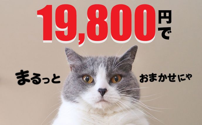 【実案件】動画コンサルバナー 　２種
