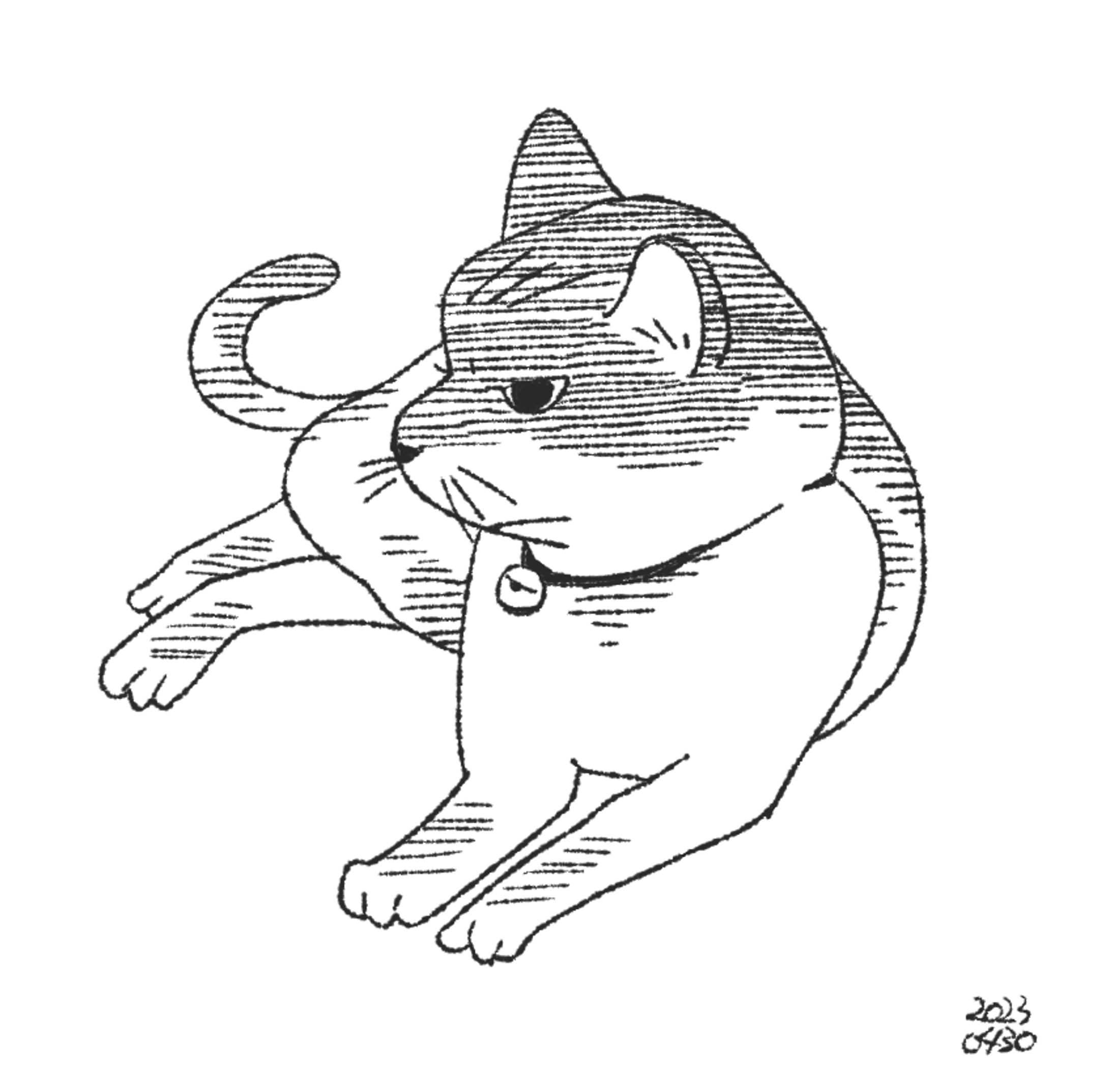 猫-1
