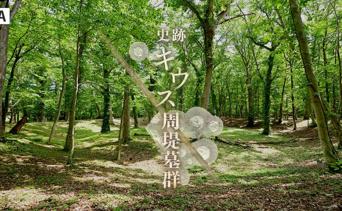 千歳市の史跡・キウス周堤墓郡　番組ロゴ作成