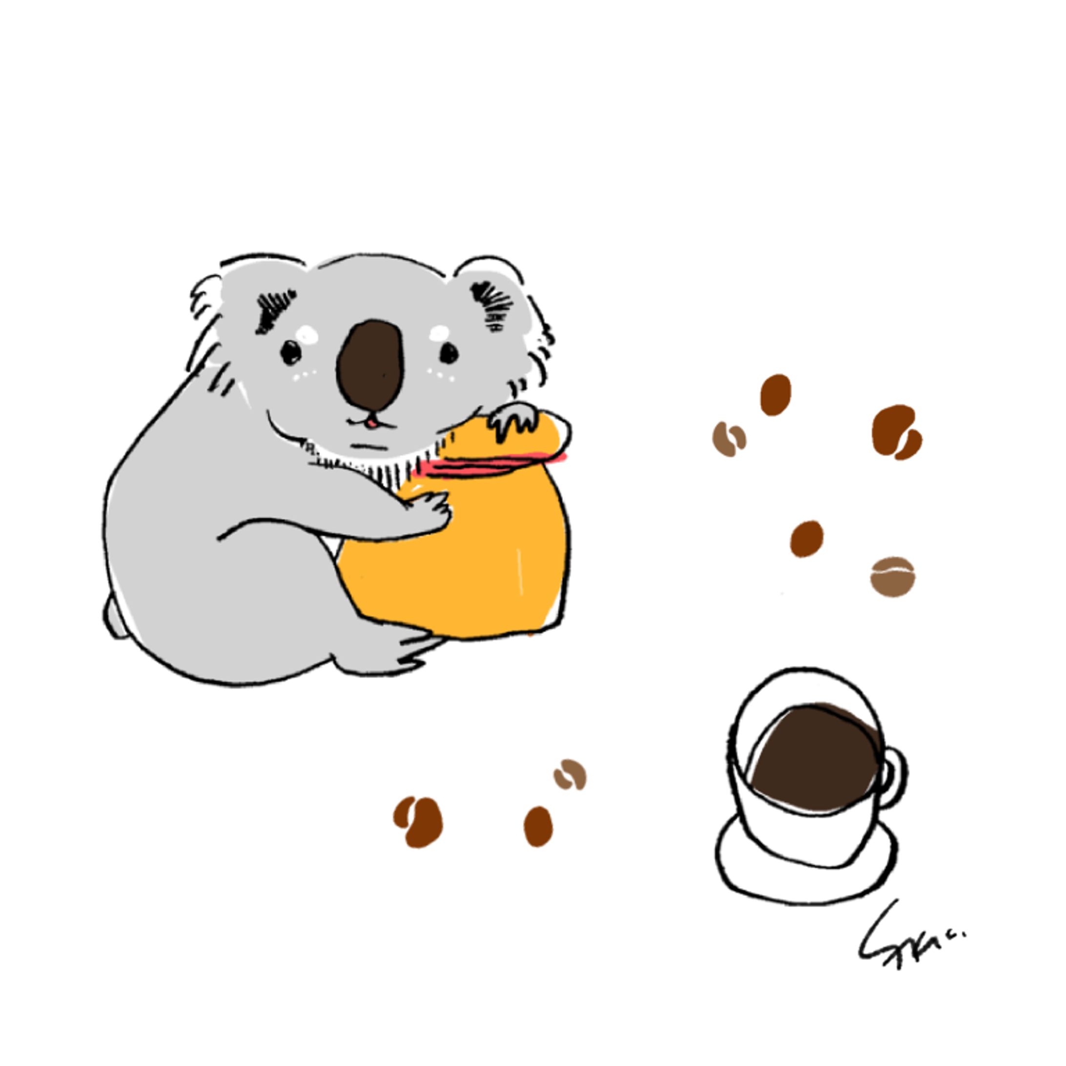 コアラとコーヒー-1