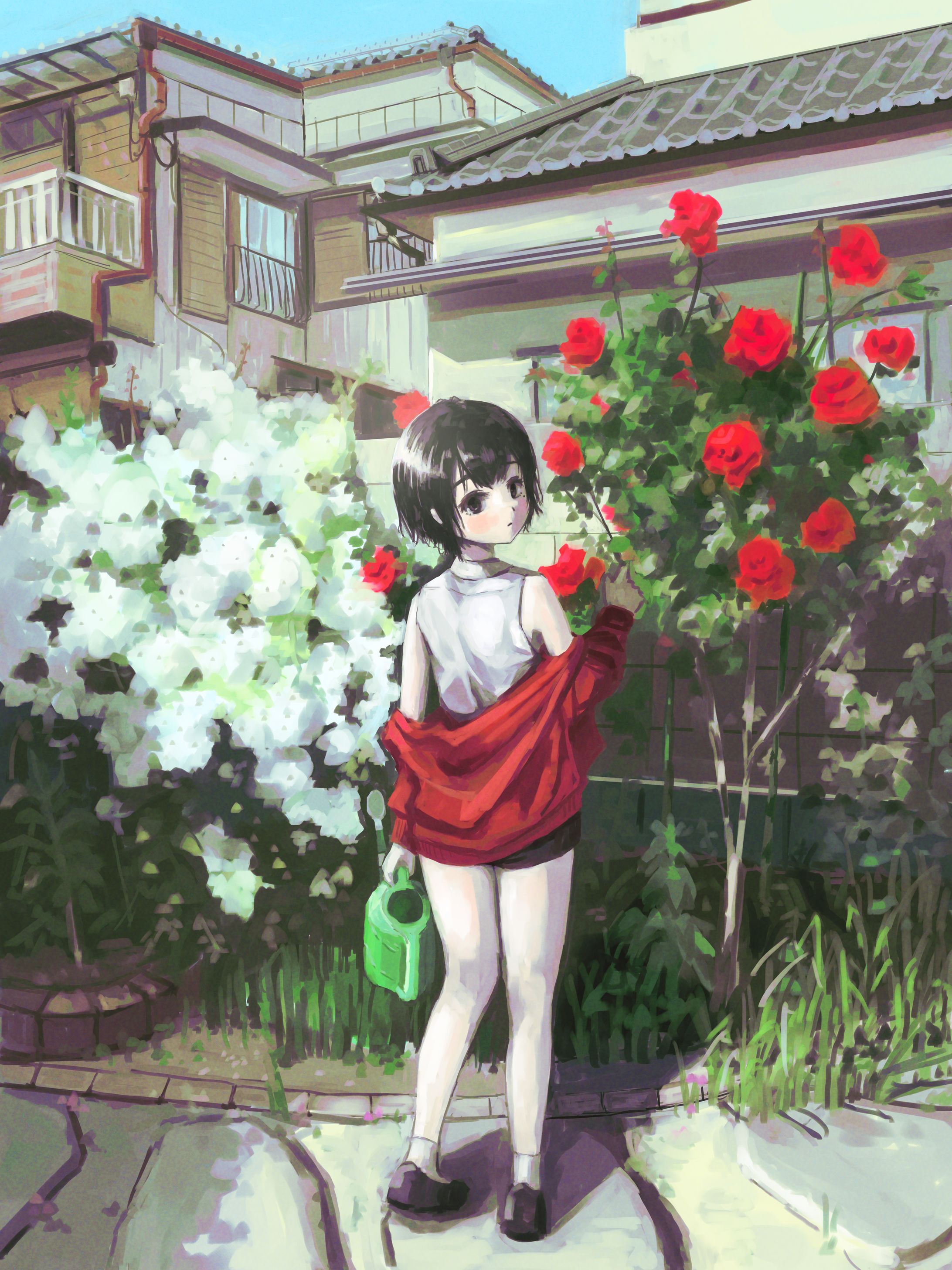 illust-1