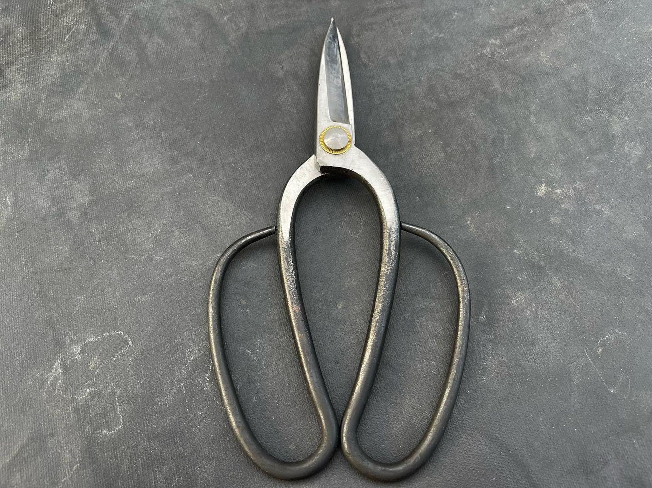鋏が古くなったので新調しようと金物屋に行った先でこの津島型の鋏に一目惚れしちゃいました
これからよろしく👍

#植木屋#庭師#鋏#niwa-1