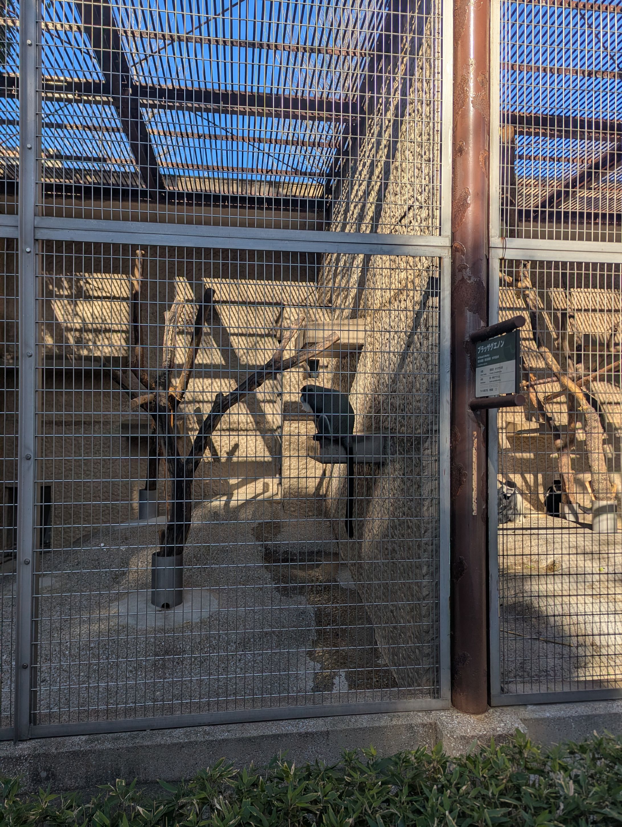 PXL 20260104 023856267.MP-1