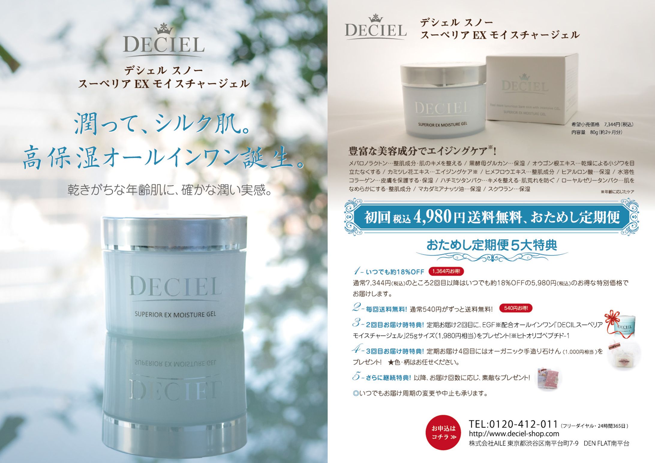 【Graphic】DECIELスノー　2つ折りフライヤー-1