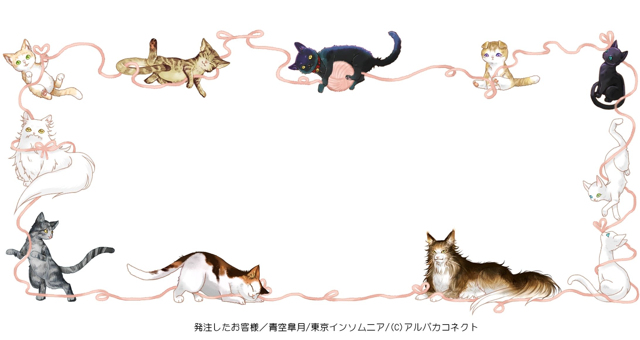 猫のフレーム-1